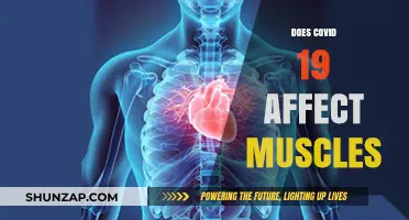 Unraveling the Impact of COVID-19 on Muscular Health: A Comprehensive Guide