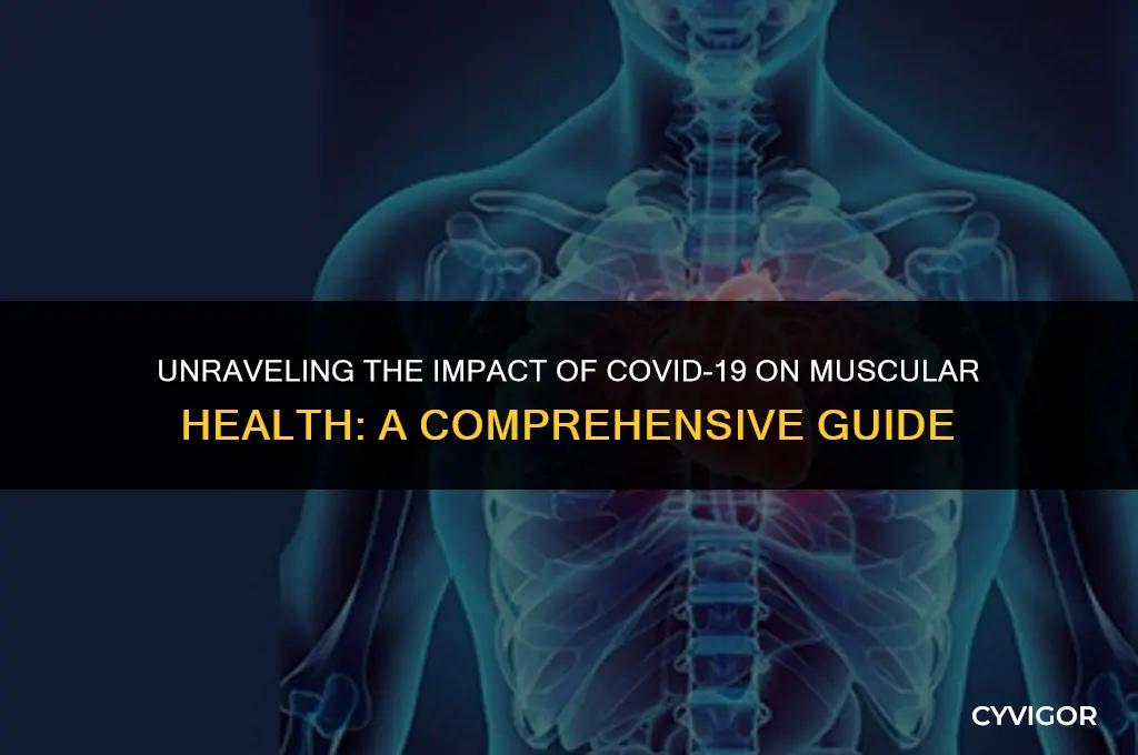 does covid 19 affect muscles
