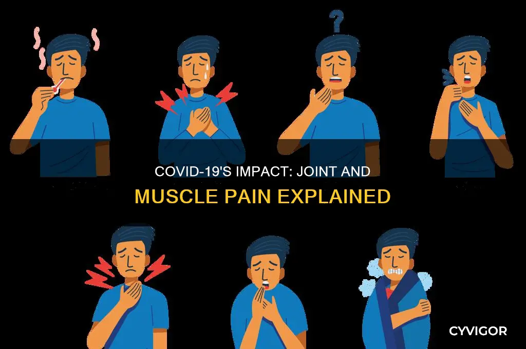 does covid 19 cause joint and muscle pain