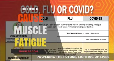 Muscle Fatigue and COVID-19: Understanding the Connection