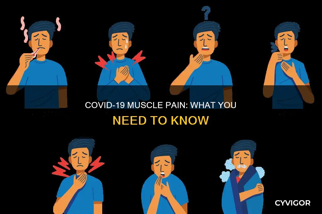 does covid 19 cause sore muscles