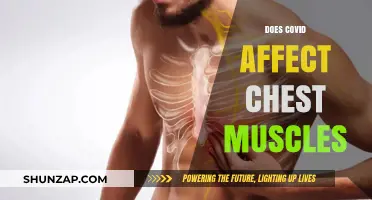 Exploring COVID-19's Impact on Chest Muscles: What You Need to Know