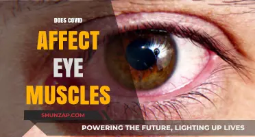 Exploring the Impact of COVID-19 on Ocular Muscles: A Comprehensive Study