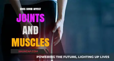 Exploring COVID-19's Impact on Joint and Muscle Health