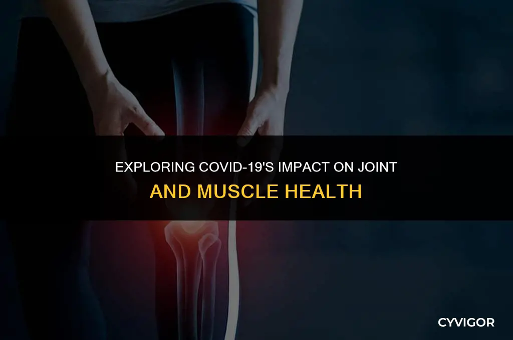 does covid affect joints and muscles