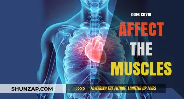 Unraveling the Impact of COVID-19 on Muscular Health: A Comprehensive Guide