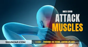 COVID-19's Impact: Muscle Pain and Weakness Explained