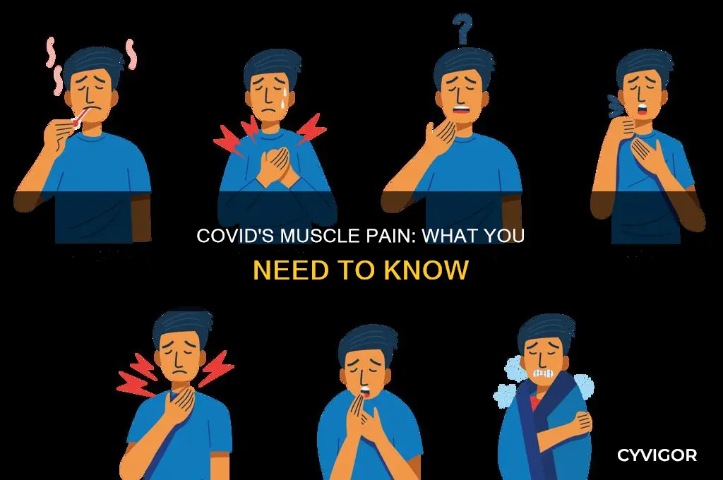 does covid cause achy muscles