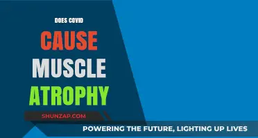 COVID-19: Muscle Atrophy Mystery Unveiled