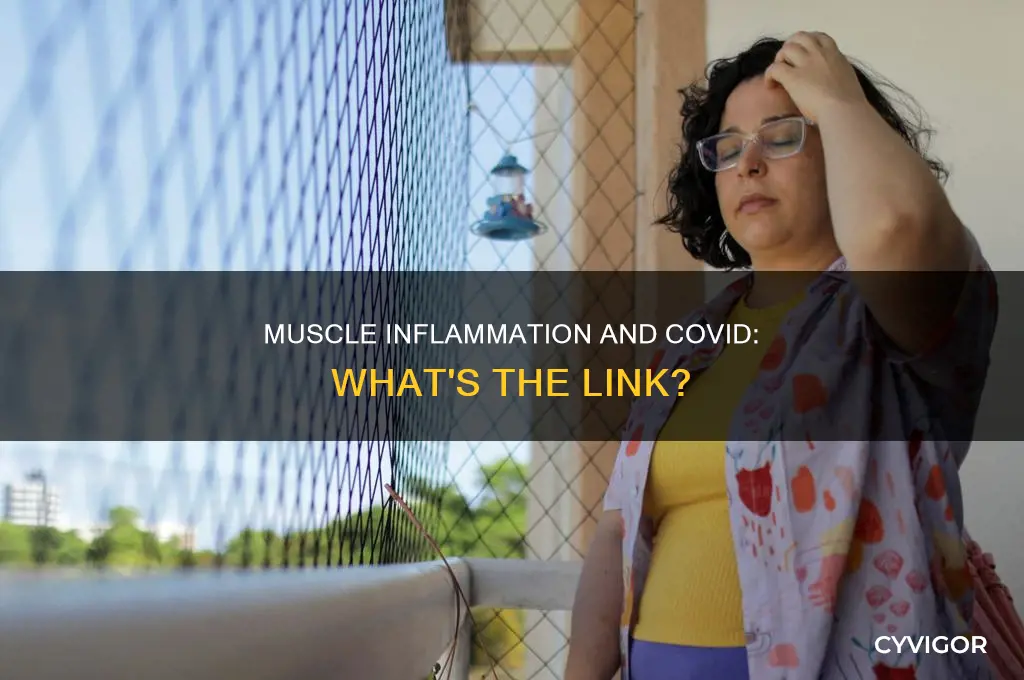 does covid cause muscle inflammation