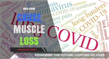 COVID-19: Unseen Impact on Muscle Loss