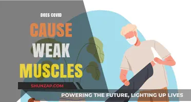 Covid's Impact: Weak Muscles and Fatigue