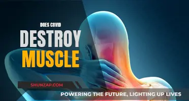 COVID-19's Impact: Muscle Loss and Recovery