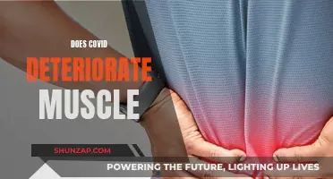 COVID's Impact: Muscle Deterioration and Recovery