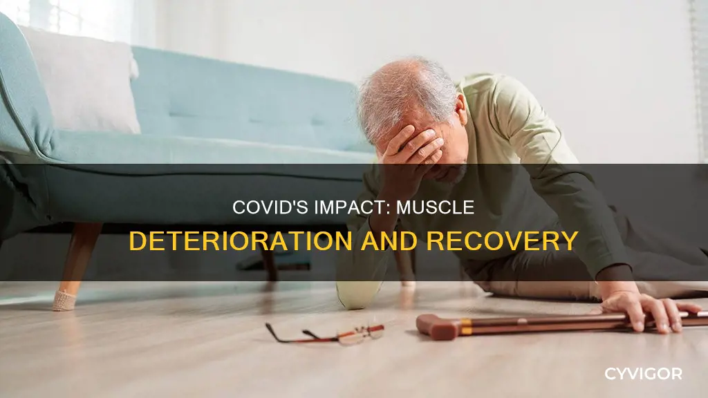 does covid deteriorate muscle