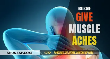 Muscle Aches and COVID: What's the Connection?