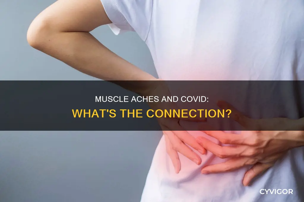 does covid give muscle aches