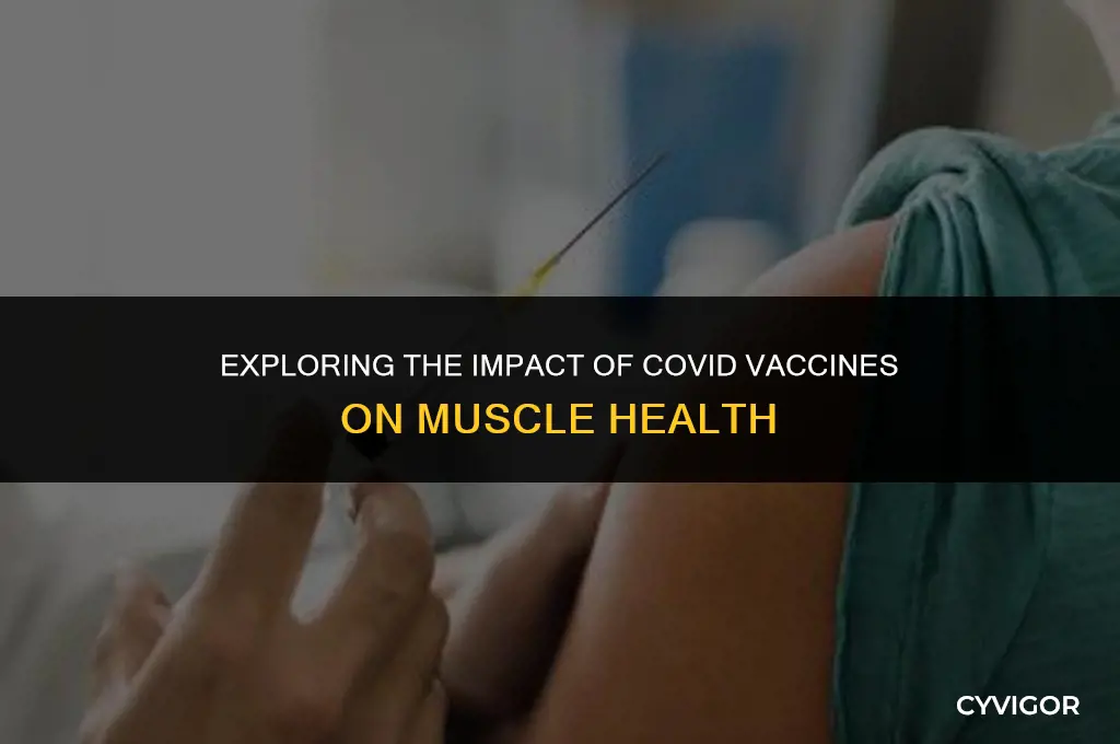 does covid vaccine affect muscles