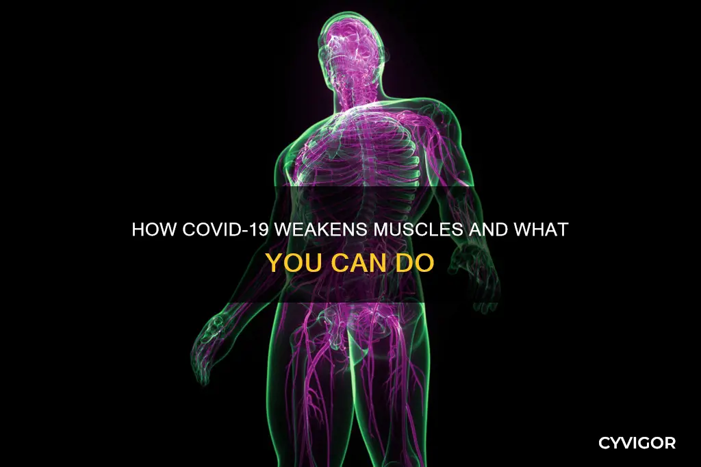does covid weaken muscles