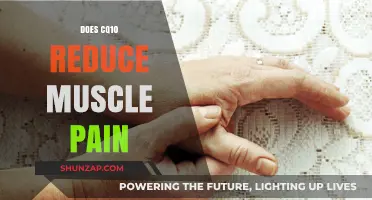 Can CoQ10 Supplementation Effectively Alleviate Muscle Pain and Soreness?
