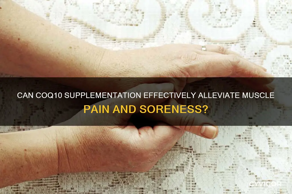 does cq10 reduce muscle pain