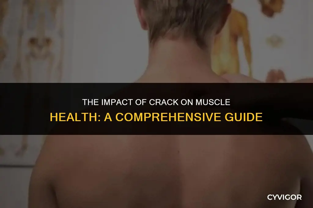 does crack affect your muscles