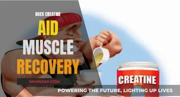 Creatine's Impact: Muscle Recovery Aid or Myth?