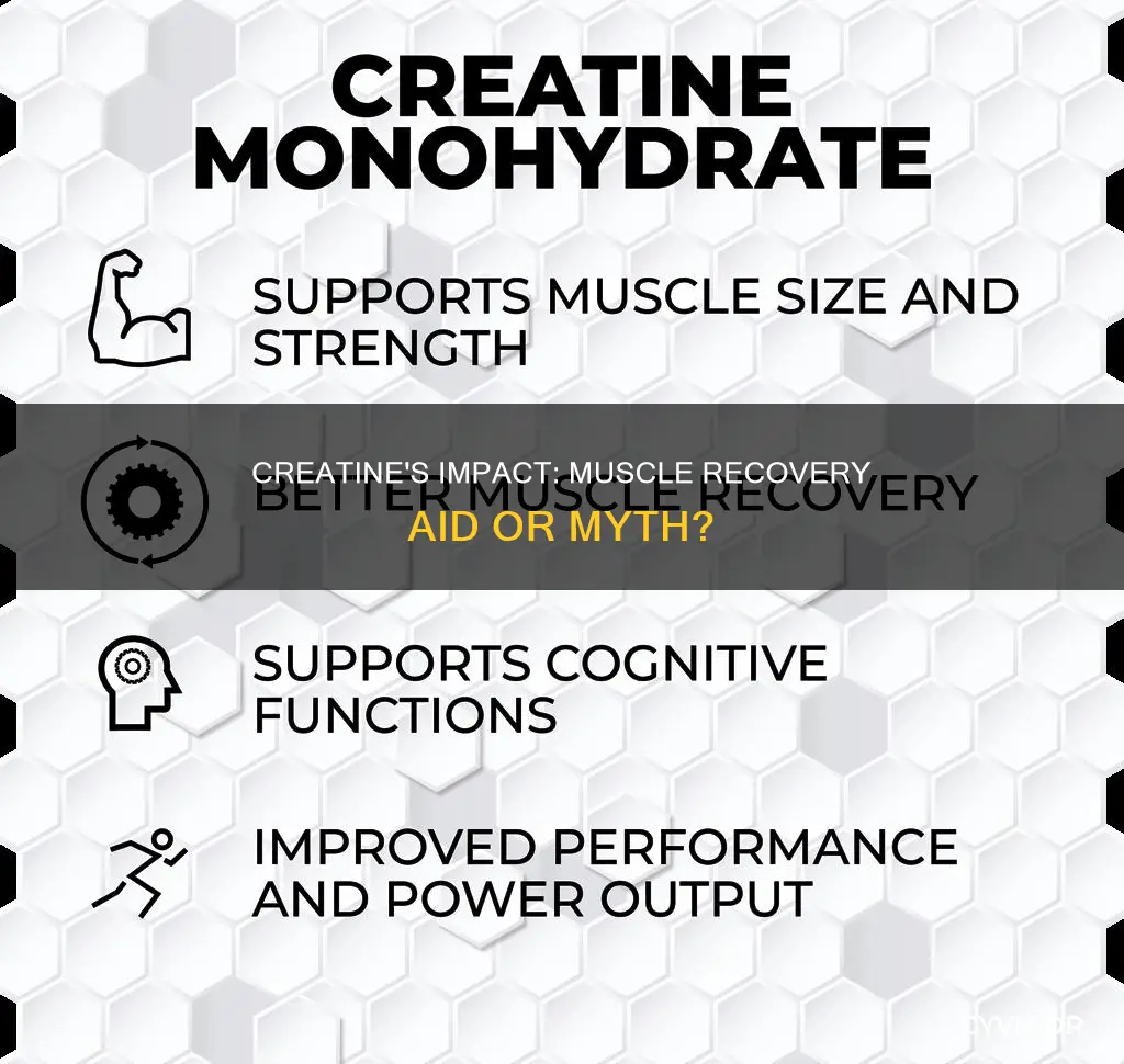 does creatine aid muscle recovery