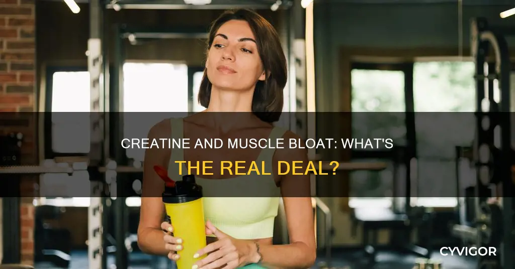 does creatine bloat your muscles