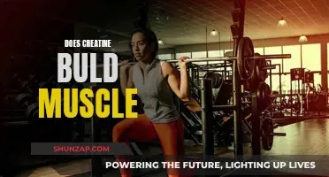 Creatine's Muscle-Building Power: Fact or Fiction?