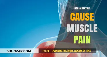 Creatine and Muscle Pain: What's the Connection?