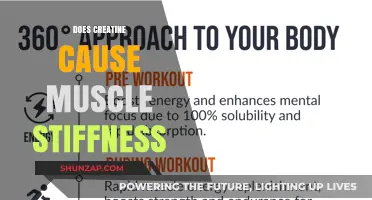 Creatine and Muscle Stiffness: Is There a Link?