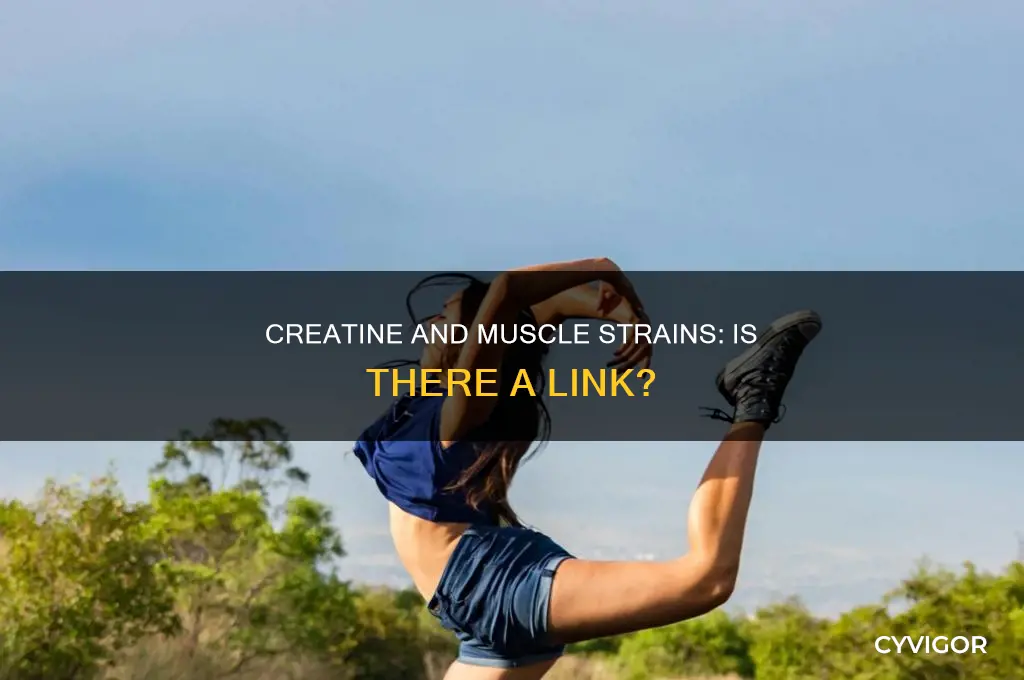 does creatine cause muscle strains