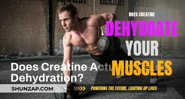Creatine's Hydration Impact: Muscle Dehydration Mystery Solved