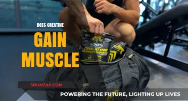 Does Creatine Build Muscle? Unlocking Strength and Growth Potential