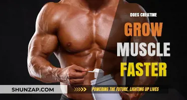 Does Creatine Accelerate Muscle Growth? Unlocking Fitness Potential