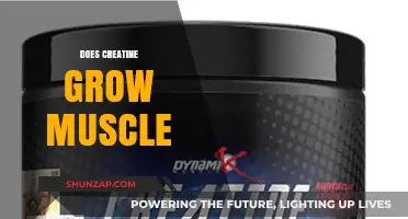 Does Creatine Grow Muscle? Unlocking Strength and Size Potential