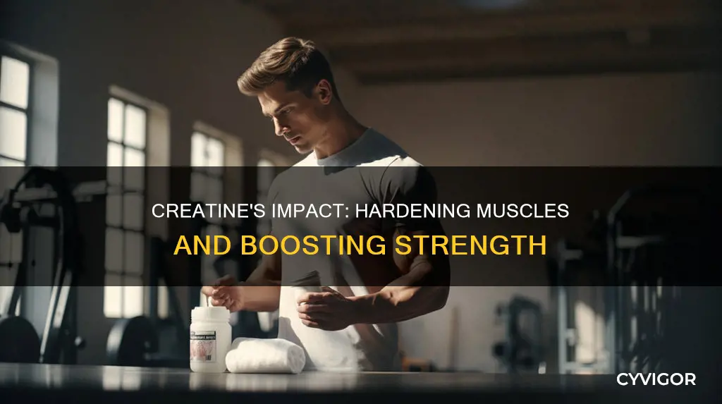does creatine harden muscles
