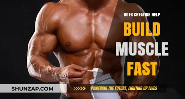 Unlocking Muscle Growth: The Truth About Creatine's Impact