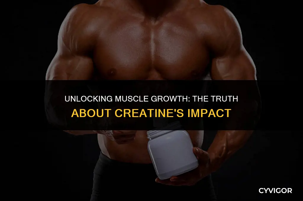 does creatine help build muscle fast