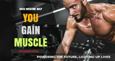Creatine and Muscle Gain: Unlocking Strength and Size Potential