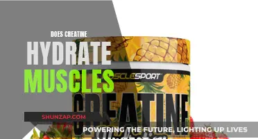 Creatine's Hydrating Power: Muscle Fuel or Fiction?
