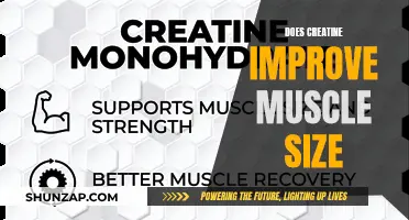 Creatine's Impact: Muscle Size and Strength