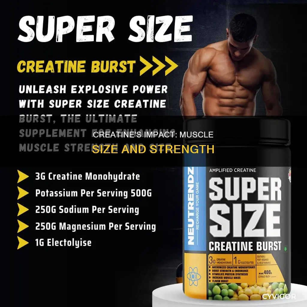 does creatine improve muscle size