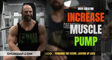 Creatine and Muscle Pump: What's the Real Connection?
