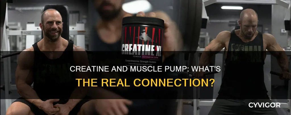 does creatine increase muscle pump