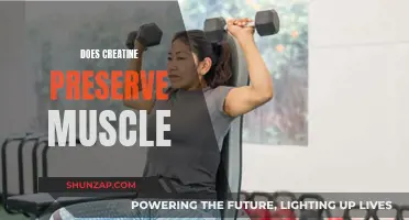Creatine's Muscle-Preserving Power: Fact or Fiction?