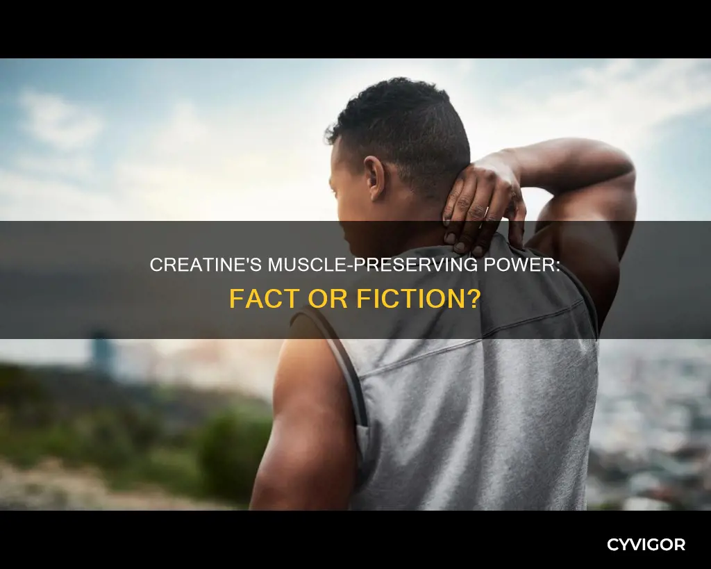 does creatine preserve muscle