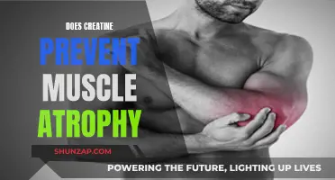 Creatine's Role in Preventing Muscle Atrophy: What's the Truth?