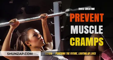 Exploring the Role of Creatine in Muscle Cramp Prevention